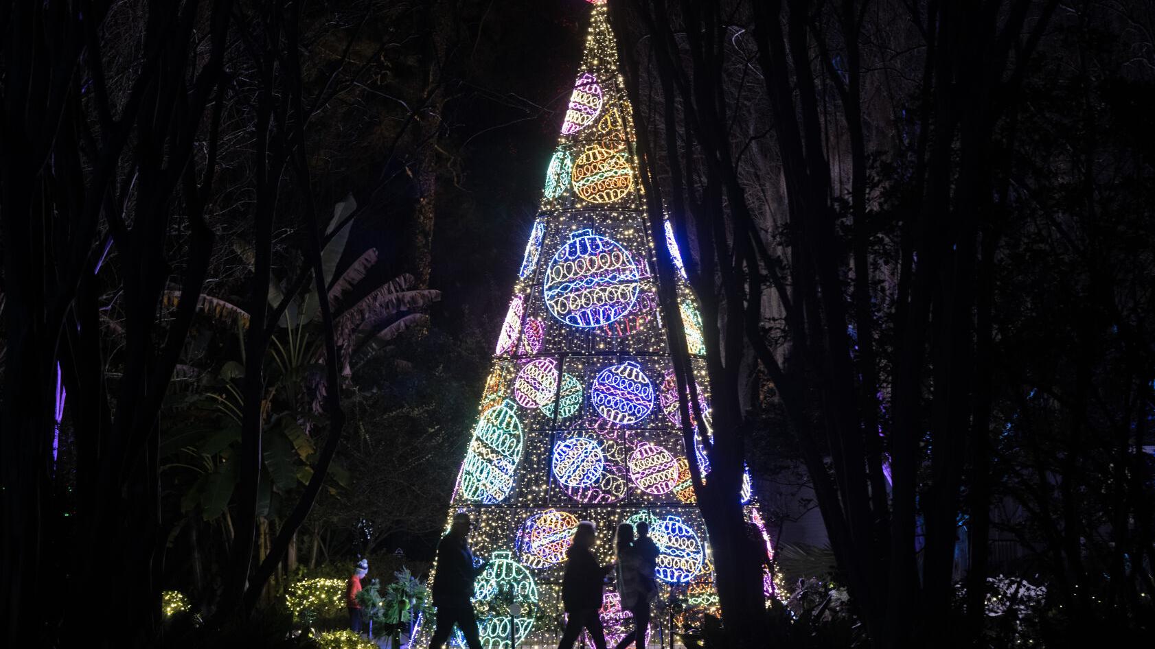 Ed Pratt: A Christmas gift, and a reminder of one family's challenges the other 364 days of the year